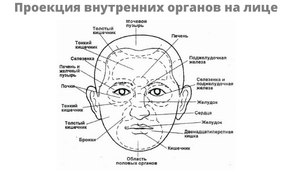 самодиагностика - проекция внутренних органов на лице